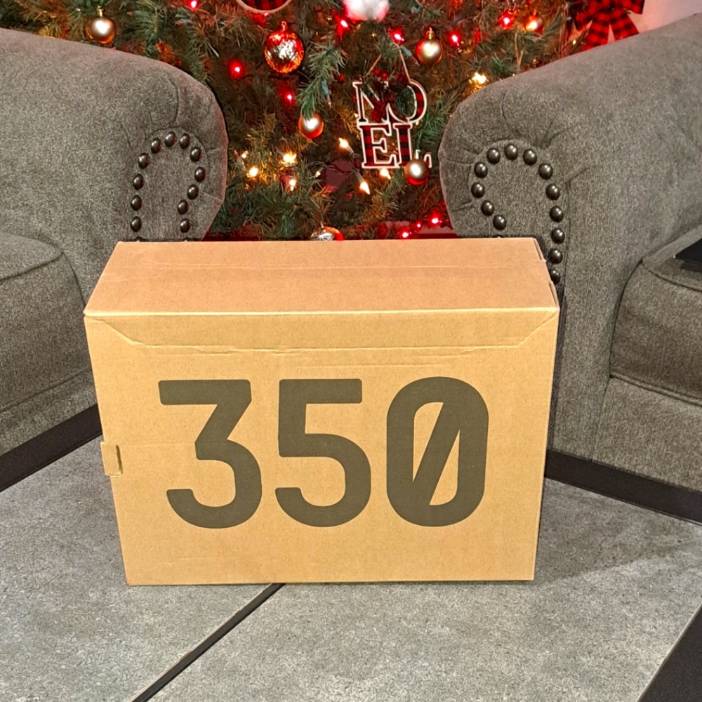 Yeezy Shoe Laces and Box